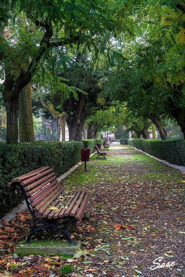 Pension Casa Pinilla Cascante Kültér fotó
